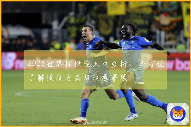 2026世界杯投注入口分析，全方位了解投注方式与注意事项