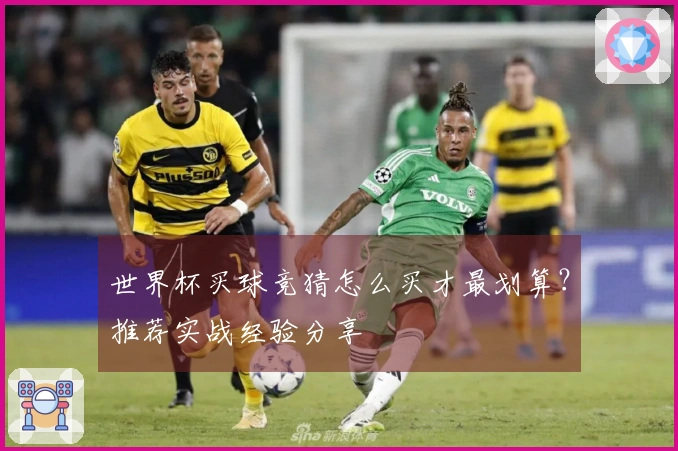 世界杯买球竞猜怎么买才最划算？推荐实战经验分享