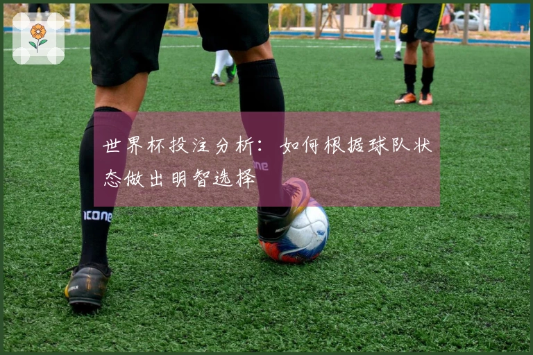世界杯投注分析：如何根据球队状态做出明智选择