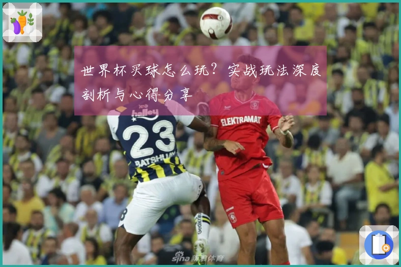 世界杯买球怎么玩？实战玩法深度剖析与心得分享