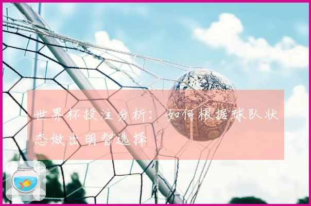 世界杯投注分析：如何根据球队状态做出明智选择