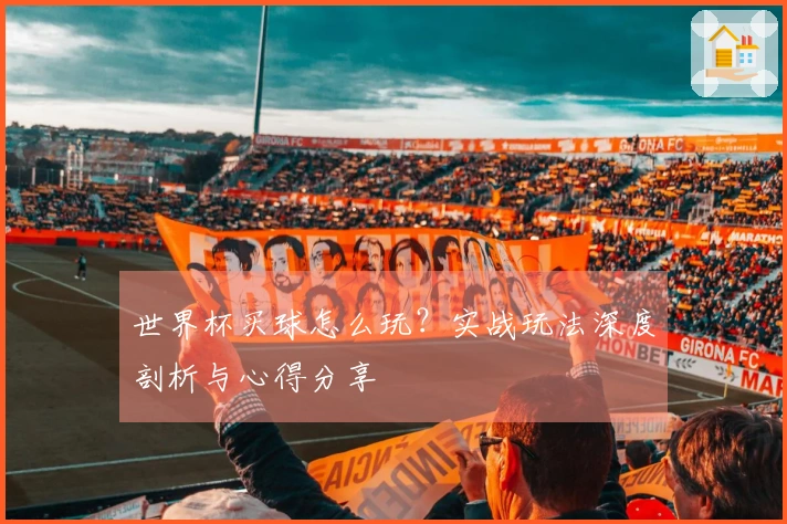 世界杯买球怎么玩？实战玩法深度剖析与心得分享
