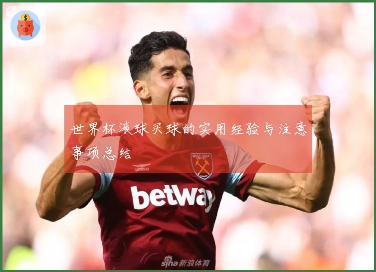 世界杯滚球买球的实用经验与注意事项总结