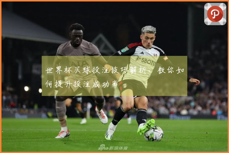世界杯买球投注技巧解析，教你如何提升投注成功率